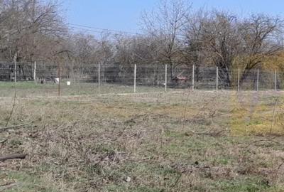 Teren de 2000 mp, în Chiroiu-Satu Nou - 3