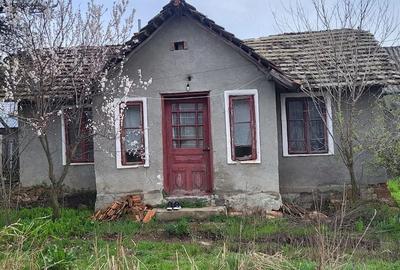 Casă cu Teren 2000 Mp în Plenița - 2