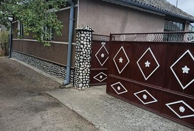 Casă cu 3 camere în Satu Mare