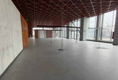 Spațiu comercial, de 760 mp, în Calea București - 1