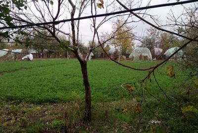 Casă individuală cu 3 camere cu Teren 1876 Mp în Vest - 2