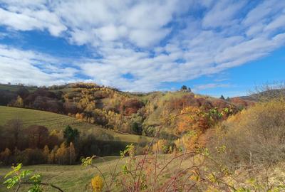 Teren agricol extravilan de 11600 mp, în Poiana Mărului - 2