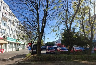 Garsonieră decomandată, mobilată în Găvana 2
