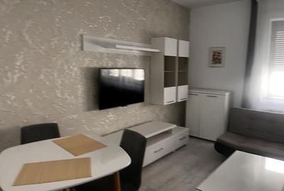 Casă cu 2 camere cu Teren 100 Mp în Exterior Vest