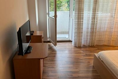 Garsonieră decomandată în Vitan - 10