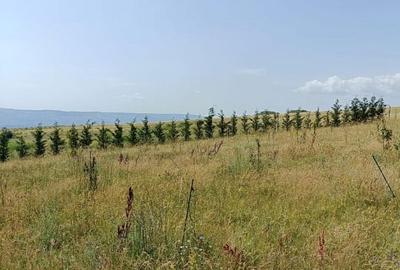 Teren agricol extravilan de 581 mp, în Exterior Nord - 6