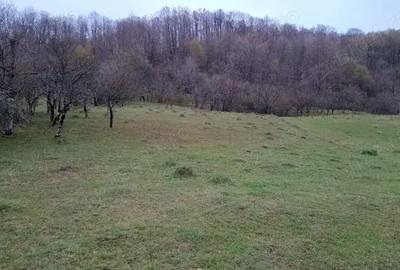 Teren în Valea - 2