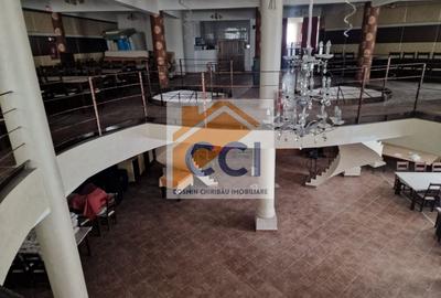 Casă individuală cu 8 camere cu Teren 4500 Mp în Măgura - 17