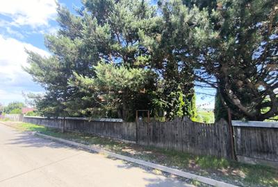 Casă individuală cu 2 camere cu Teren 7592 Mp în Dochia - 4