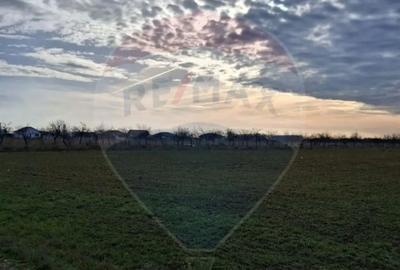Teren de 5700 mp, în Sântion - 2