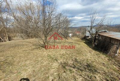 Casă cu Teren 3676 Mp în Poiana - 14