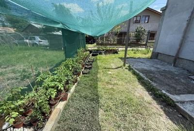 Casă cu 3 camere cu Canalizare în Slobozia - 4