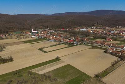 Teren de 2970 mp, în Odvoș - 7