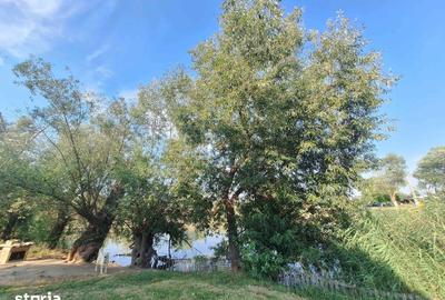 Casă cu 3 camere cu Teren 305 Mp în Central