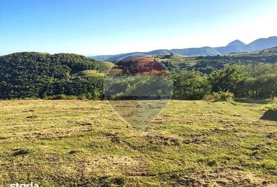 Teren de 18600 mp, în Mogoș