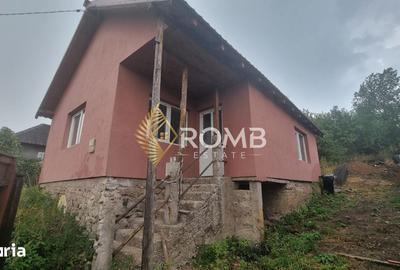 Casă cu 2 camere cu Teren 1102 Mp în Agăș