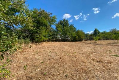 Teren agricol intravilan de 3800 mp, în Parincea - 5