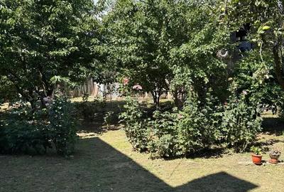 Casă cu 5 camere în Călimănești