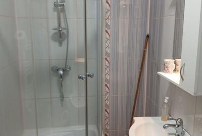 Apartament cu 2 camere semidecomandat în Craiovei - 3
