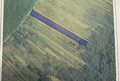 Teren de 20000 mp, în Ciomăgești - 2