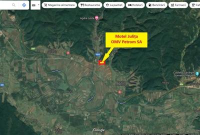 Teren Construcții intravilan de 7661 mp, în Vărădia de Mureș - 3