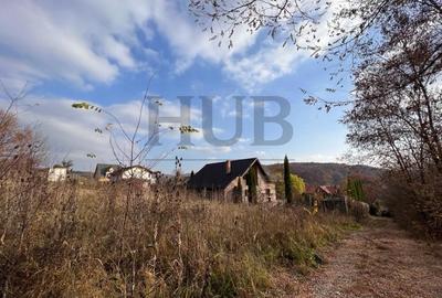 Teren Construcții intravilan de 1095 mp, în Podiș - 6