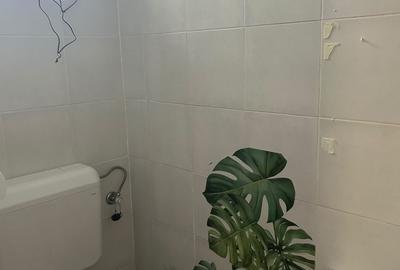 Spațiu comercial, de 25 mp, în Drumul Taberei