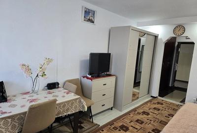 Garsonieră semidecomandată în Brazda lui Novac - 8