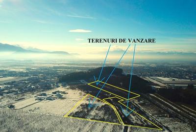 Teren Construcții extravilan de 89800 mp, în Sânpetru - 7