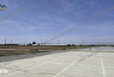 Teren de 350 mp, în Berceni