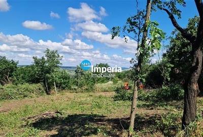 Teren Construcții intravilan de 1000 mp, în Aroneanu - 2