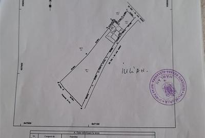 Teren Construcții intravilan de 3000 mp, în Bădeni - 7