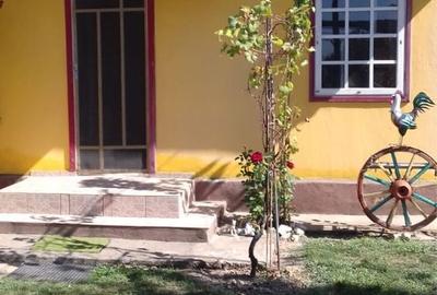 Casă cu 2 camere în Oltina - 6