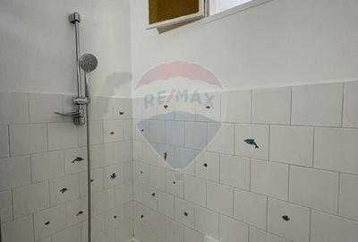 Apartament cu 1 camere semidecomandat, mobilat în Micălaca - 5