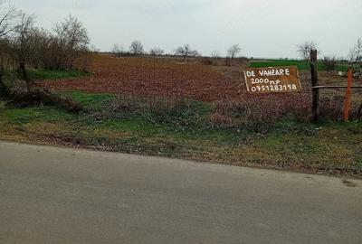 Teren de 2000 mp, în Curtișoara - 2