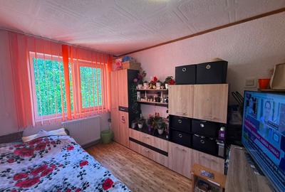 Apartament cu 3 camere decomandat în Gojdu - 3