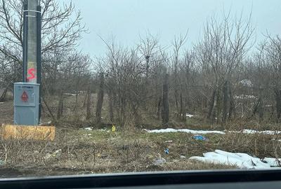 Casă cu Teren 2400 Mp în Toporu - 10