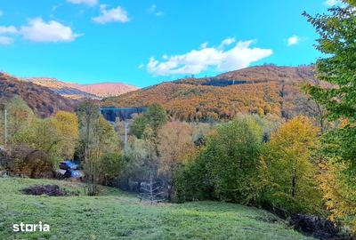 Teren de 2000 mp, în Valea Doftanei