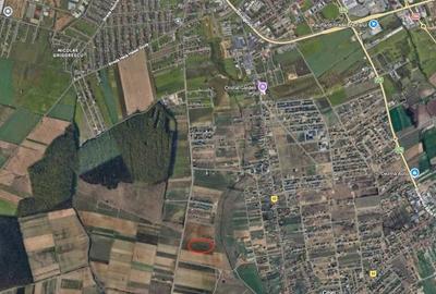 Teren Construcții intravilan de 600 mp, în Sânmartin - 2