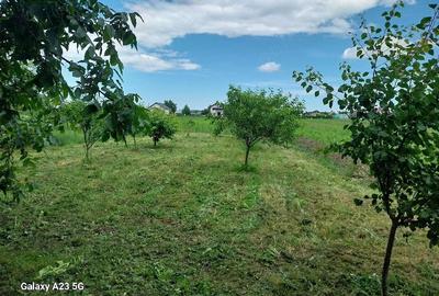 Casă cu Teren 1200 Mp în Zănești - 7