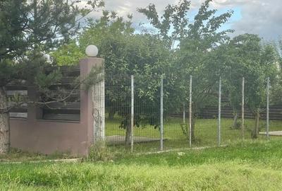 Teren de 5000 mp, în Tamași - 3