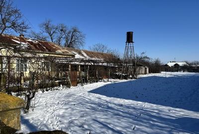 Casă cu 4 camere în Vișina