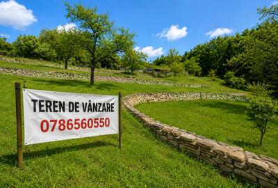 Teren Construcții intravilan de 3900 mp, în Făget - 1