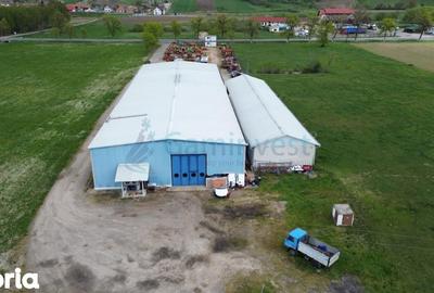 Spațiu comercial, de 400 mp, în Aușeu - 2