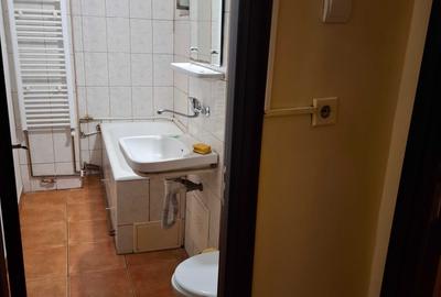 Garsonieră decomandată în Craiovița Nouă - 1