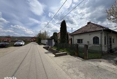 Casă cu 3 camere cu Teren 1320 Mp în Stâlpeni - 8