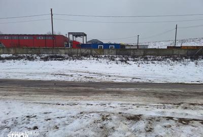 Teren de 524 mp, în Cornetu - 4