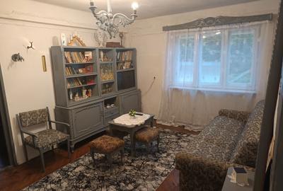 Apartament cu 2 camere semidecomandat în Băiuț - 14