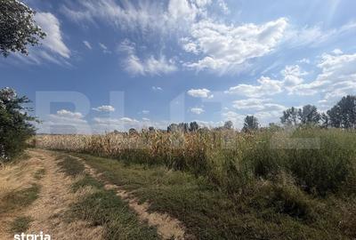 Teren de 9000 mp, în Nușfalău
