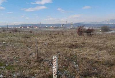 Teren de 4338 mp, în Preajba - 2